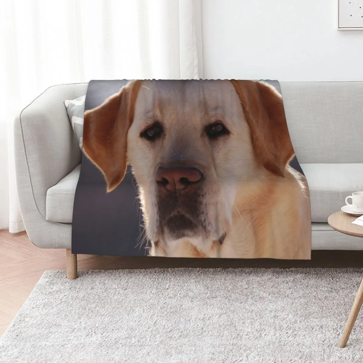 Portrait of A Golden Labrador Dog Throw Blanket For Sofa Thin Vintage Sleeping Bag Thermal Hairys Decoratives Blankets