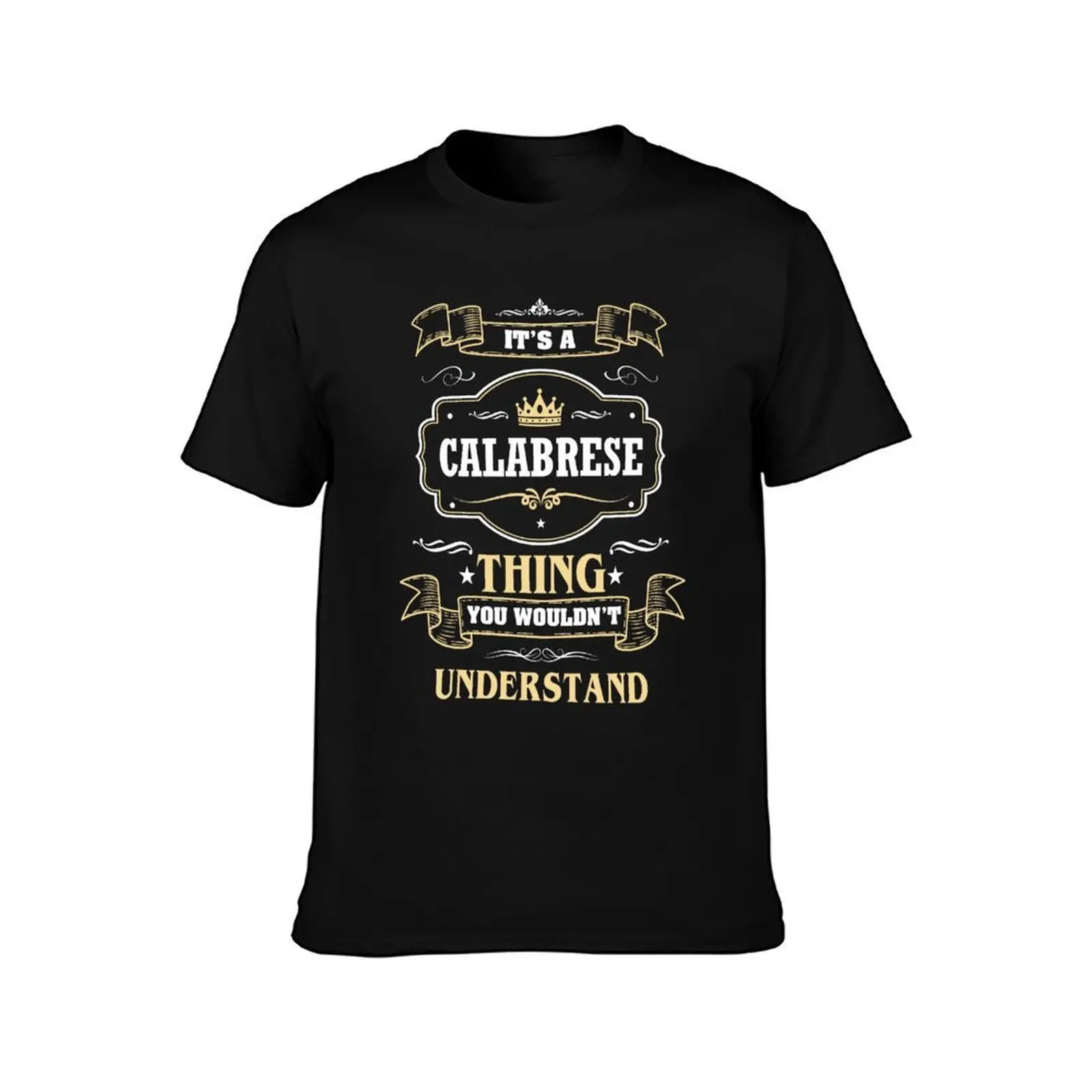 It Is A Calabrese Thing You Wouldn't Understand Calabrese Name Shirt T-Shirt, Summer Casual Cotton Tee, Vintage Graphic Print
