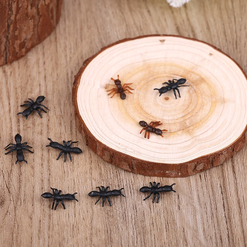 Reatic Small Ant Mo…