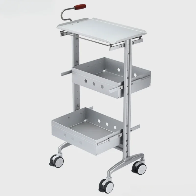 

Trolly Cosmetic Trolley Beauty Salon Cart Auxiliary Trolleys Spa Tool Hair Storage Furniture Commercial Carrito Movil