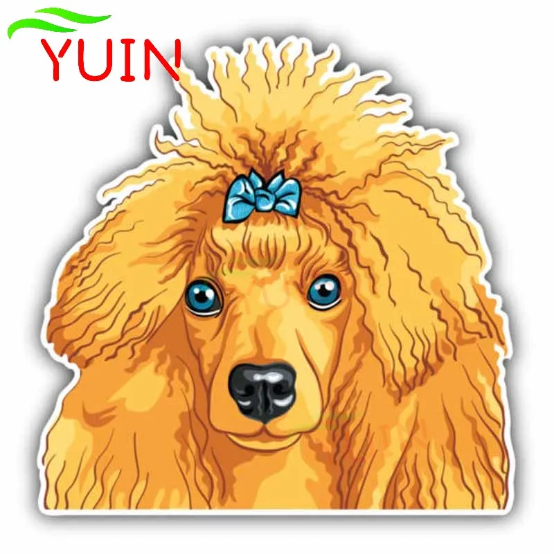 

Fashion Car Sticker Poodle Dog Head Lovely Decals PVC Bumper Window Decoration Accessories Motorcycle Waterproof Decal 15*15cm
