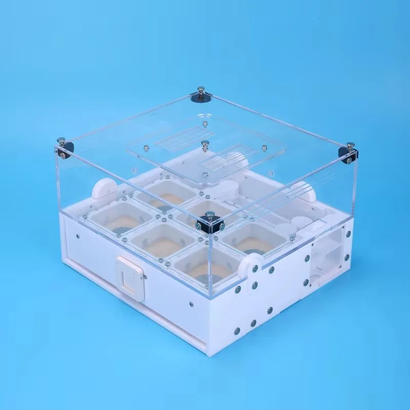 

Акриловое муравьиное гнездо Ферма с видимым дизайном, гнездо для ящика, прозрачное штабелируемое гнездо