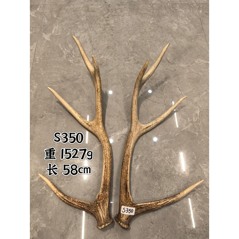 Pair of Natural Shed Sika Deer Antlers – Whole Branches for Medicine, Powder, Wine Soaking, Archery Material, Knife Stand
