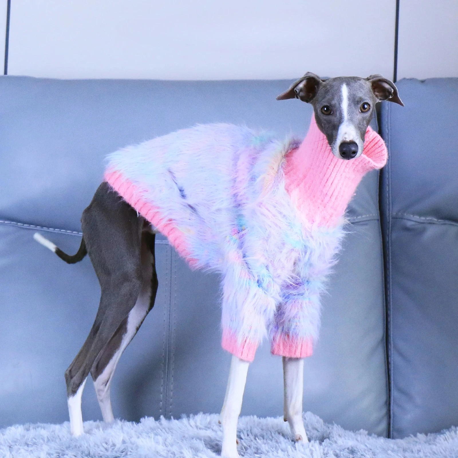 

Noble Pets Autumn Sweater Imitation Mink Stretch Soft Pink Turtleneck Italian Greyhound Whippet Sweater Pets Clothes