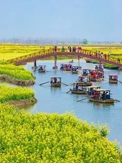 

Out of Stock, Do Not Order Please