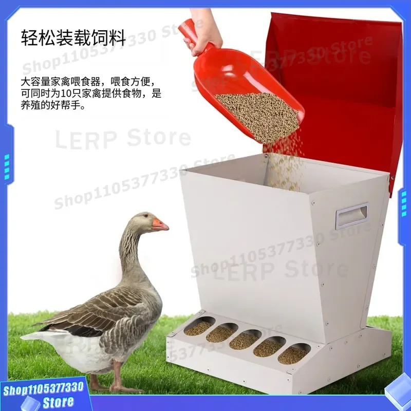 Automatic Chicken Feeding Trough Vertical Poultry Feed Dispenser Anti Rat Design New Farm Equipment for Hens Ducks Geese
