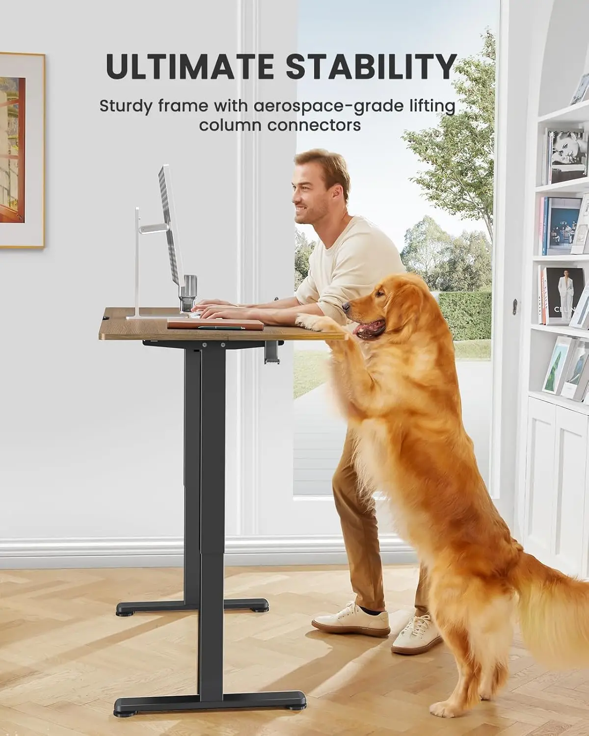 Height adjustable electric upright desk, 48 x 24 inch sitting upright desk, memory computer home office desk