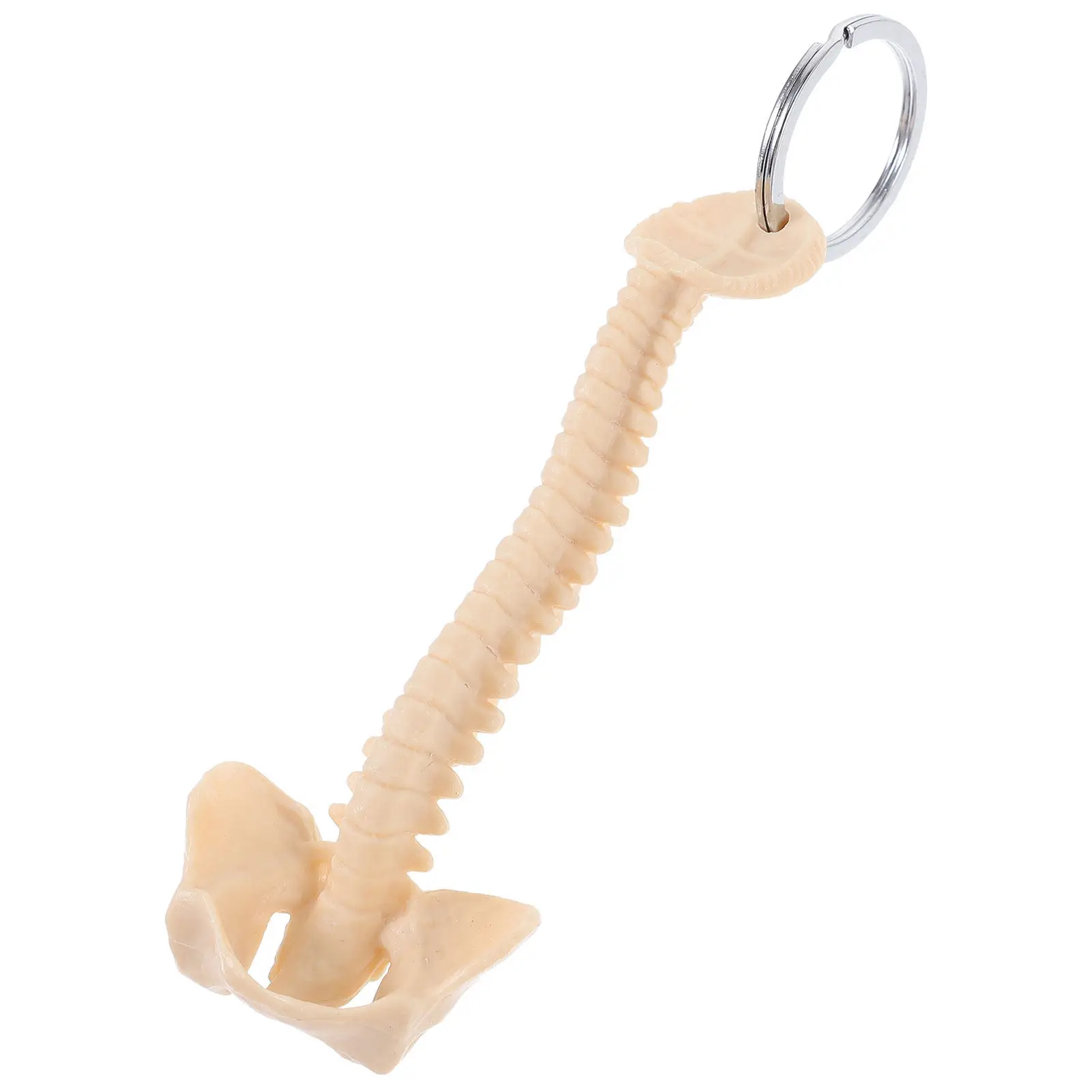 

Брелок-подвеска «Позвоночный столб» из ПВХ, прочный, учебное пособие, миниатюрная модель человеческого позвоночника, аксессуар для школы и исследований