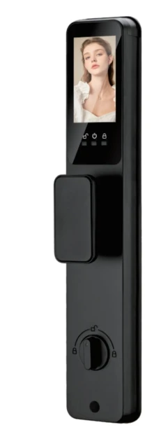 Newly Launched Modern 3D Facial Recognition Digital Door Lock Intercom Video WiFi Smart Door Memory Card Storage Stainless Steel