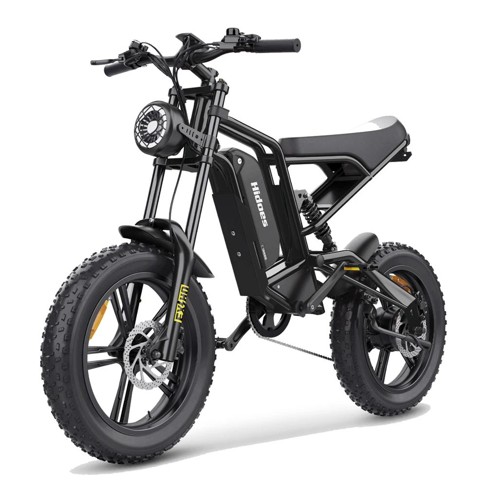 AliExpress Hidoes B6 E-bike 1200W Powerful Motor 48V 15.6Ah Lithium Battery Adult E-Mountain Bike 20*4 in Fat Tire Snow Electric Bicycle