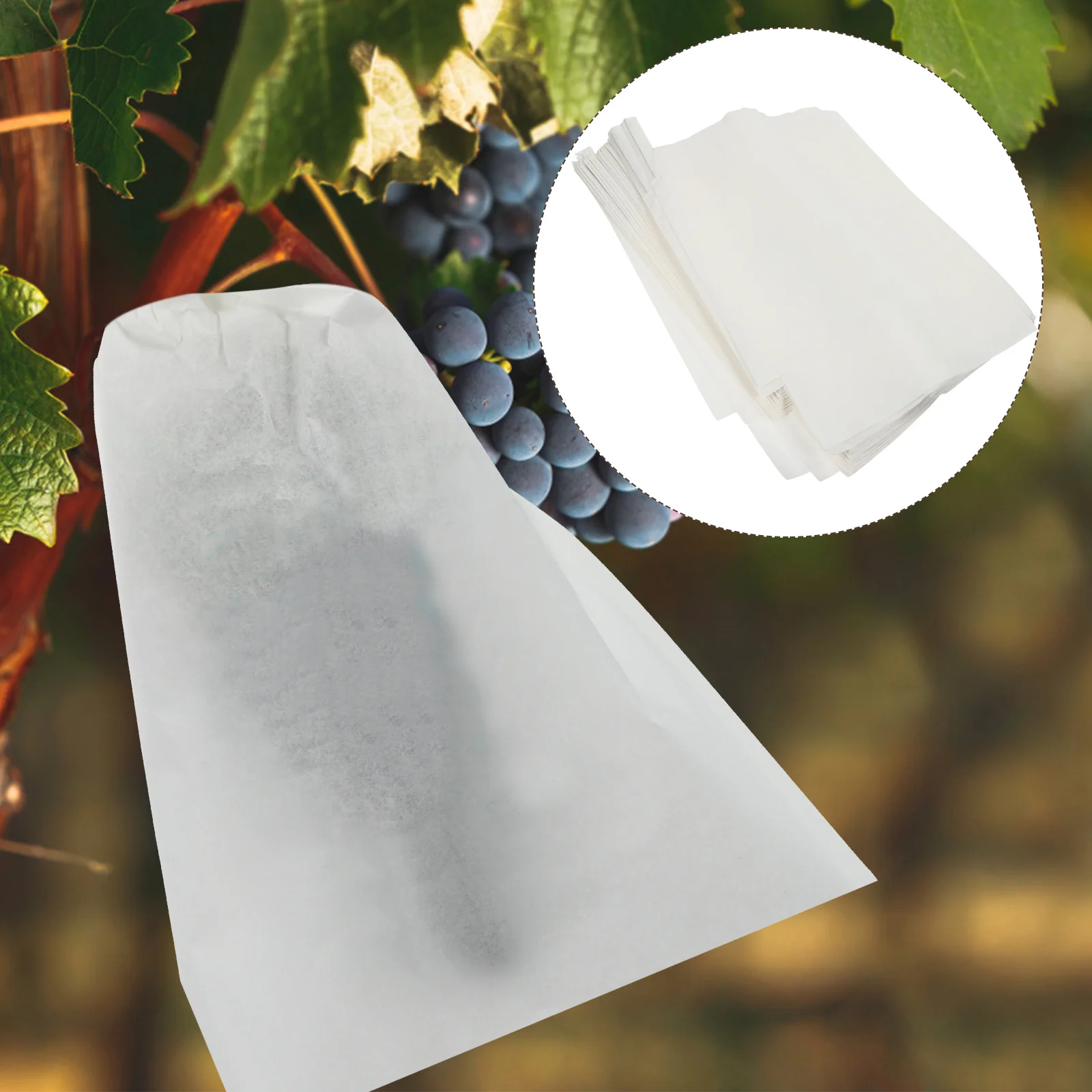 

Прозрачные сетчатые пакеты для выращивания винограда, 100 шт., покрытие для фруктов, одеяло для дерева, защитная бумага для разведения