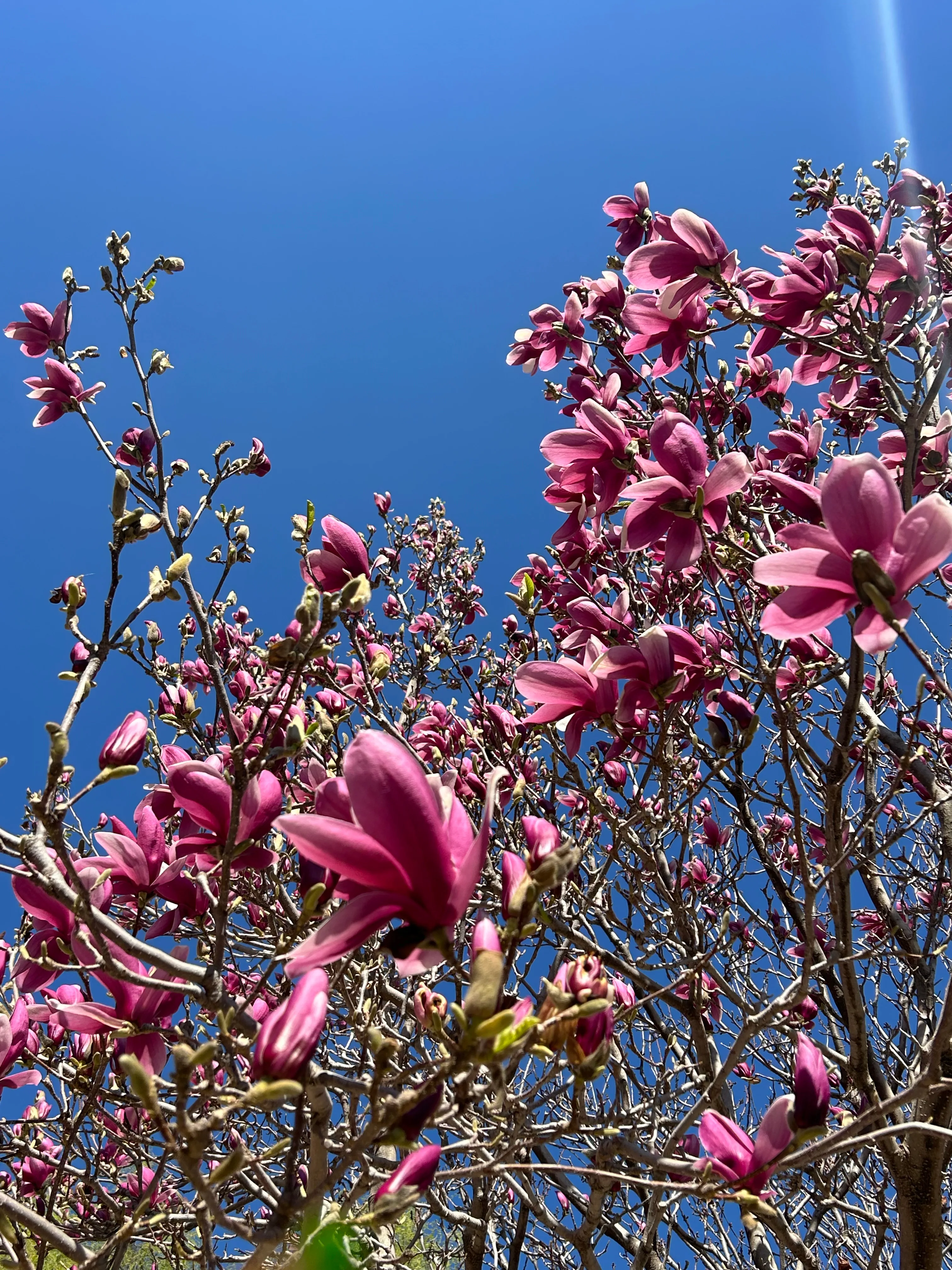 

1625 3500KV 6000KV 7500KV 11000KV Brushless Motor w/20A ESC Combo for Wltoys Trxs RC 1/24 1/28 mini Car Vehicles Model