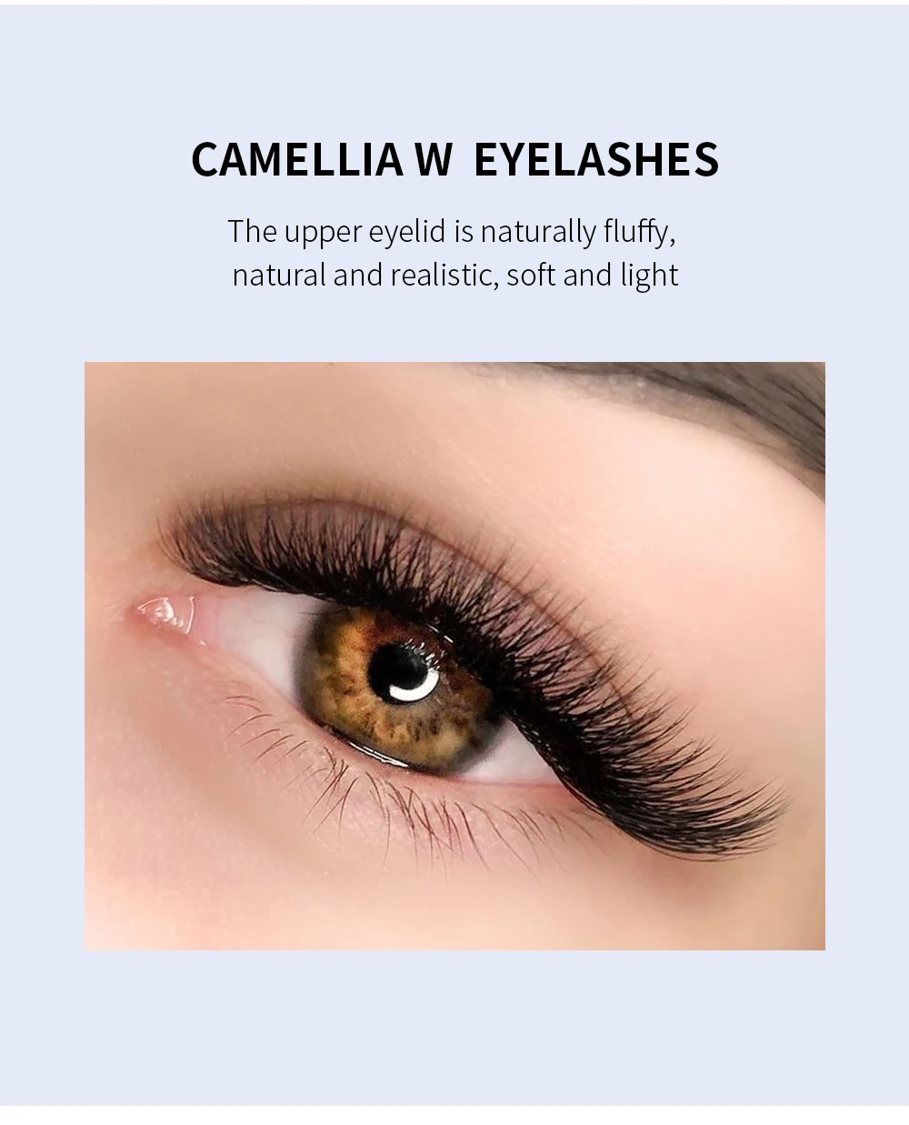 GLAMLASH C/D/L/LU/M Camellia 4D 5D W Wimpernverlängerung Großhandel vorgefertigtes Volumen 12 Reihen W-Stil Einzelwimpern natürlich weich – Detail 3