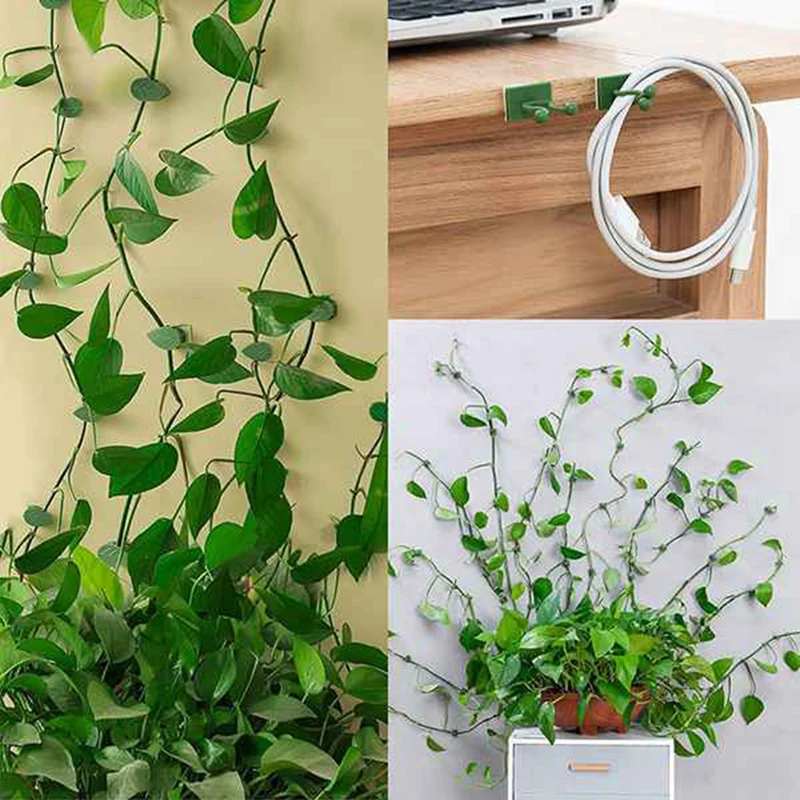 AA86 80 ชิ้นพืชปีนเขา Wall FIXTURE คลิปผู้ให้บริการพืช Vines สวนสีเขียวใบพืชผนังคลิป Vines สําหรับตกแต่ง