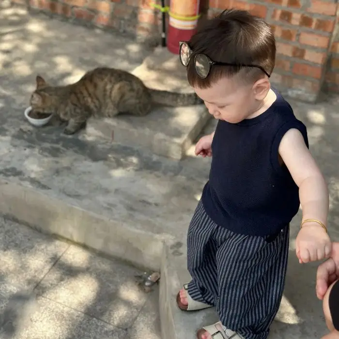 

Korean Children's Clothing Boys' Suit Summer Handsome Baby Foreign Thin Children's Vest Top Striped Casual Pants