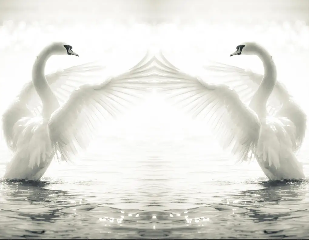 Customize any size mural Beautiful dream forest children room decoration wallpaper swan butterfly waterfall photo 3d wallpaper