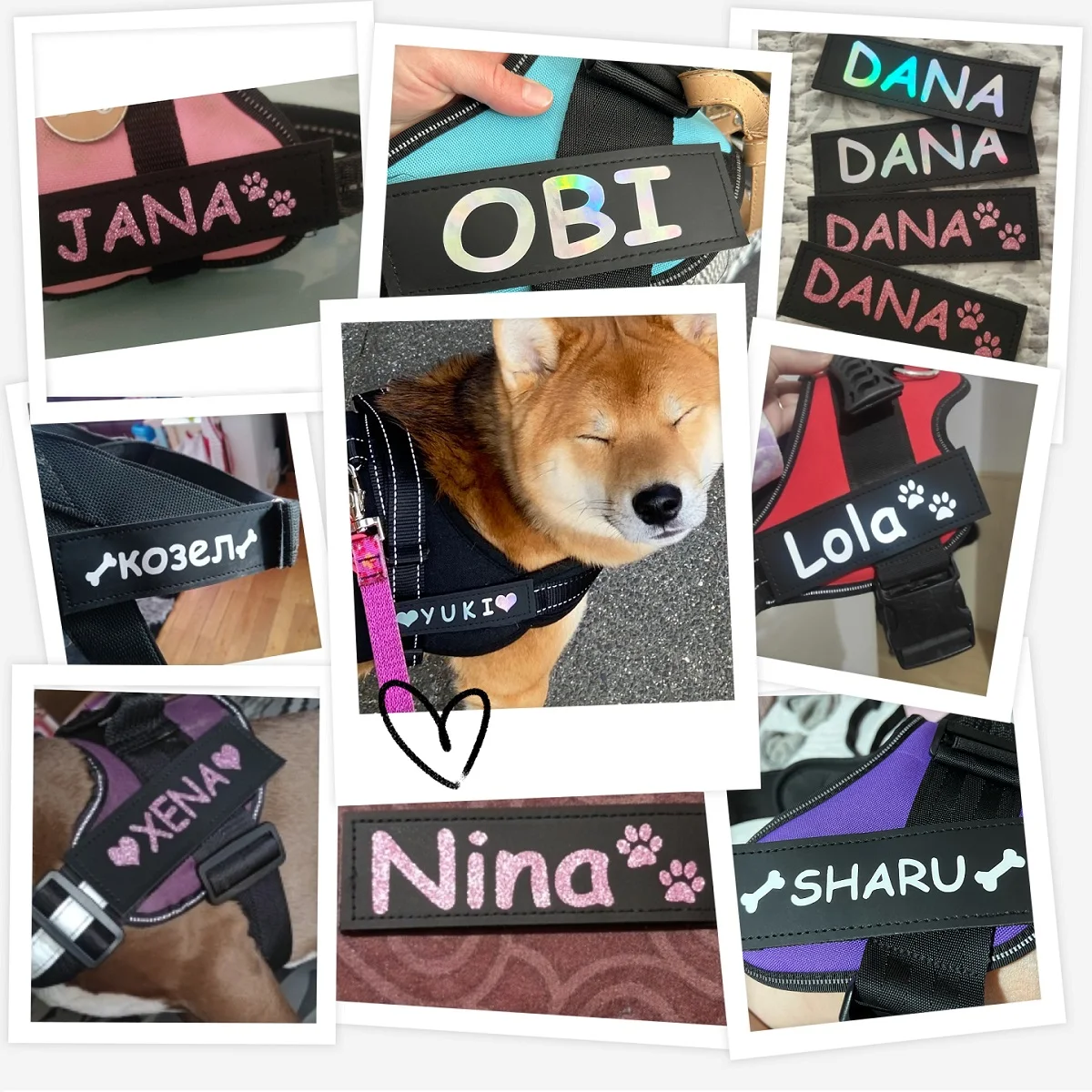 2 PCS Personalized Dog Name Tag Pet Harness ID Label Reflective Colorful DIY Name Logo Custom Dog Chest Strap Harness Collar Tag