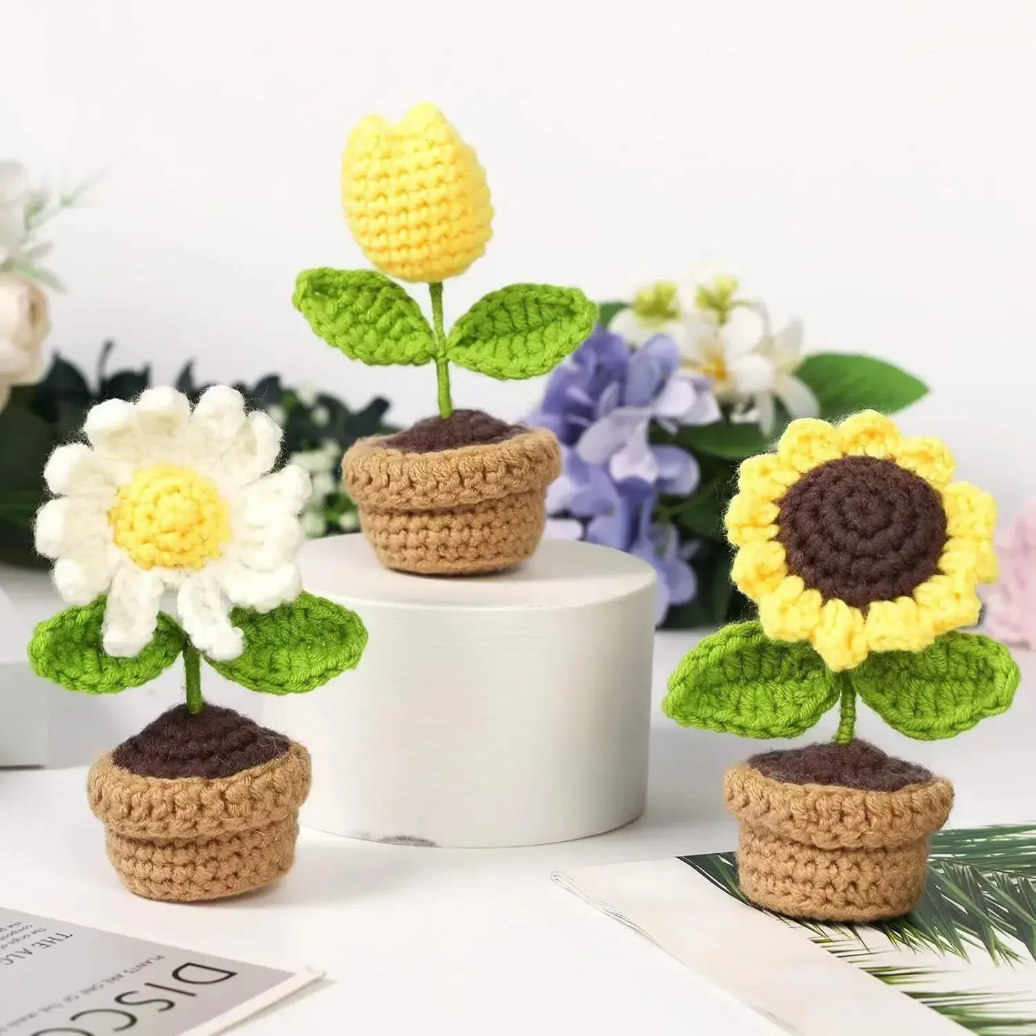Ruasol Kit Crochet Débutant Amigurumi - Kit Complet Plantes Suspendues Avec Tutoriels Vidéo