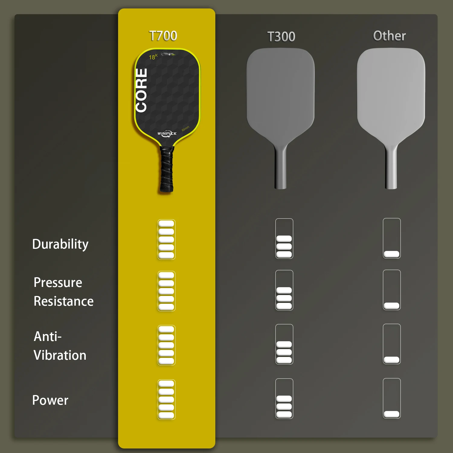 WINPICK Pickleball Paddles 18K Raw Carbon Fiber T700 Surface USAPA Approved 16mm for Spin & Control Paddle Racket Thermoformed