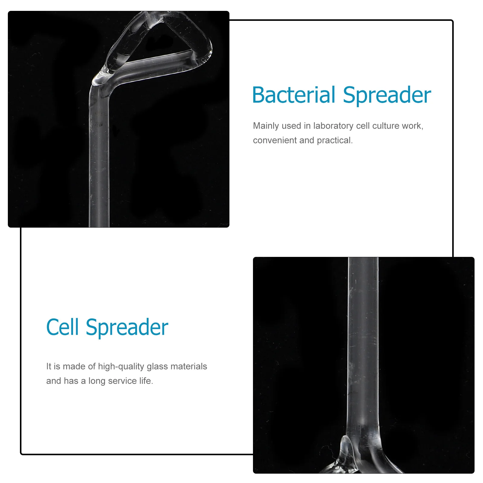 

5Pcs Laboratory Cell Glass Wide Spreading Smooth Surface Coating Tool Accessories Cell Wide Spreading