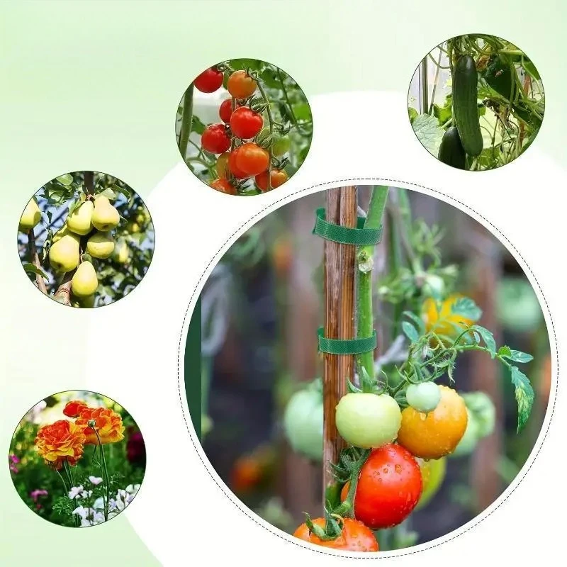 T-Shaped Straight Strip Plant Fixing Clips Green Dill Climbing Vine Binding Support Garden Plant Fastener