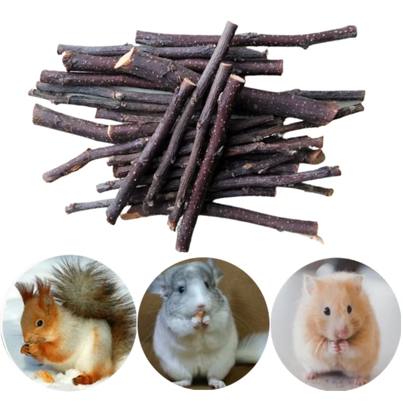 Fashion New 2022 Pet Playing Small Pets Rabbit Hamster Guinea Pig Parrot Toys Hamster Chew Toy Wood Sticks Twigs