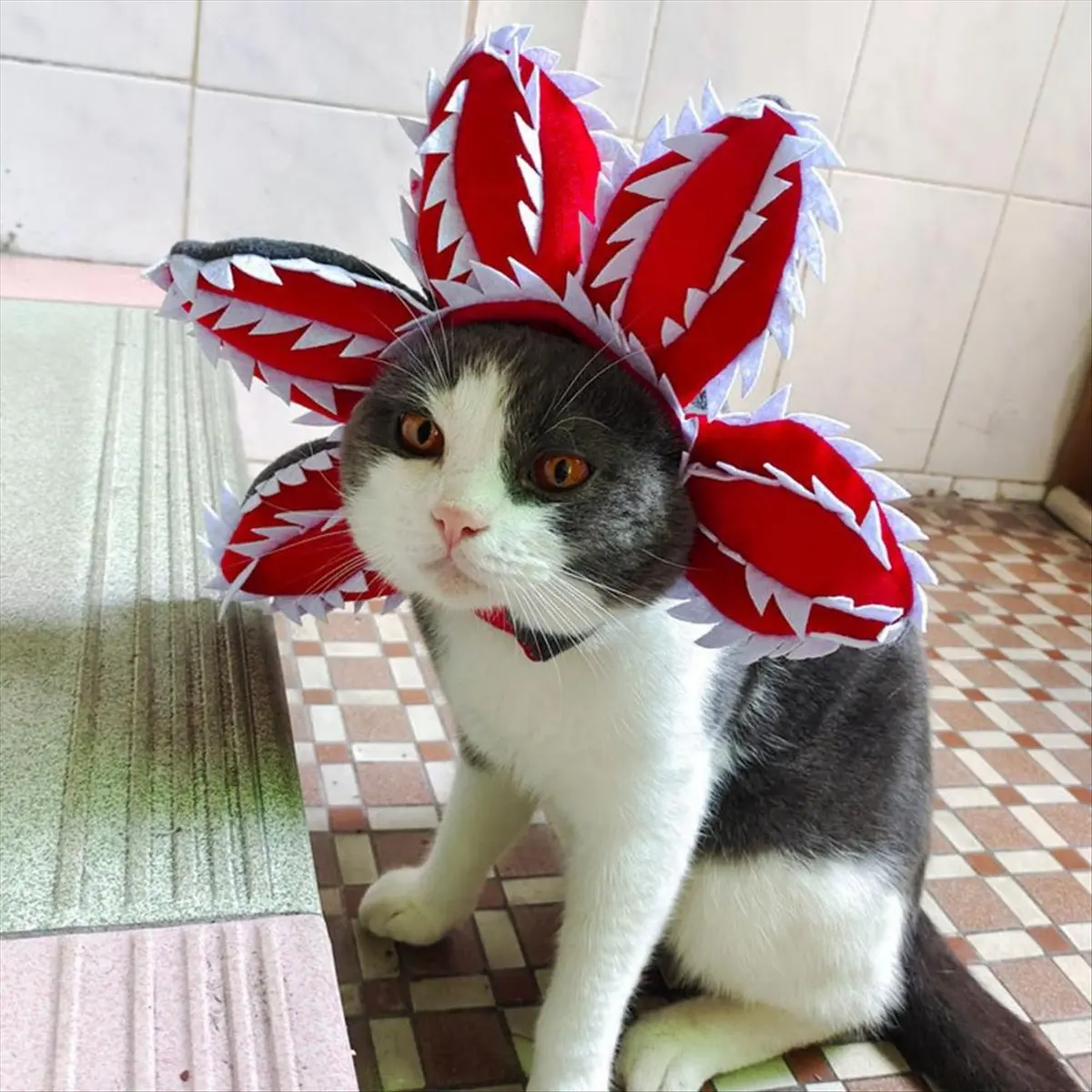AT16 Halloween Pet Hat Comfortable Vivid Animal Hat Clothing Pet Theme Dress Headdress Funny L