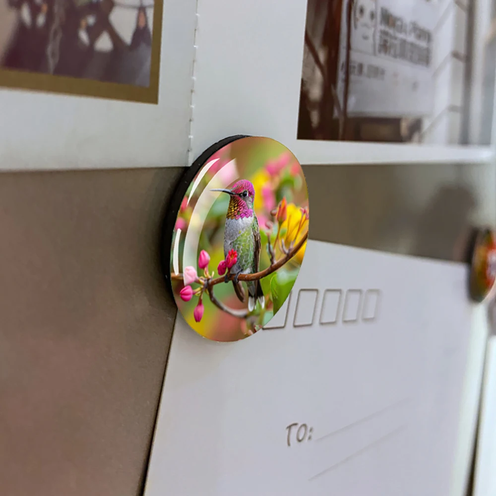 Koliber magnes na lodówkę ptaki i kwiaty szklana kopuła naklejki magnesy na lodówkę akcesoria dekoracyjne artystyczny dom zwierząt — zdjęcie 4
