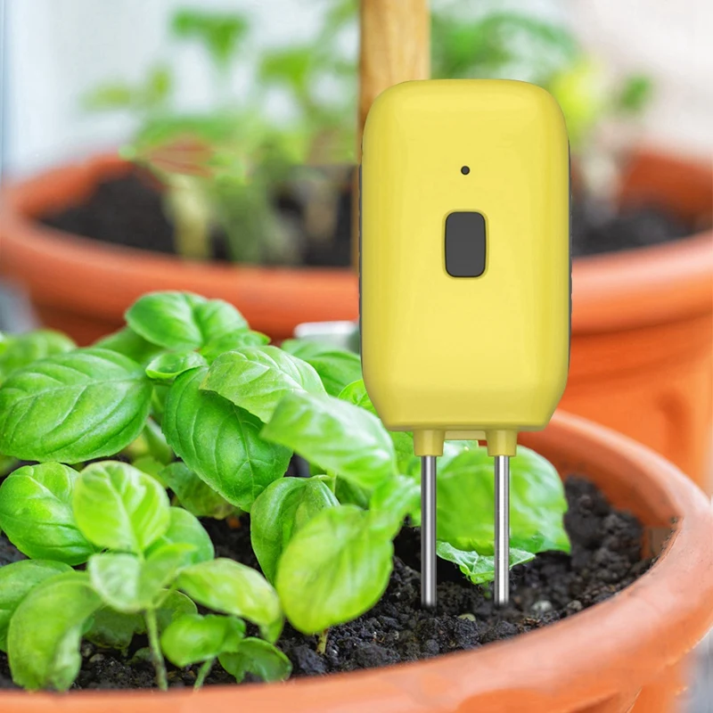 Détecteur Intelligent de Température et d'Humidité du Sol, Testeur de Plantation de Jardin, Verger