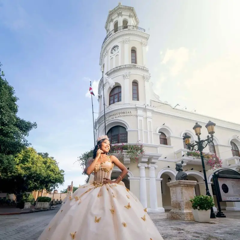 تخصيص ضوء الشمبانيا قبالة الكتف Quinceanera فستان تول فراشة الديكور القوس vestidos دي 15 Quinceanera ﻿