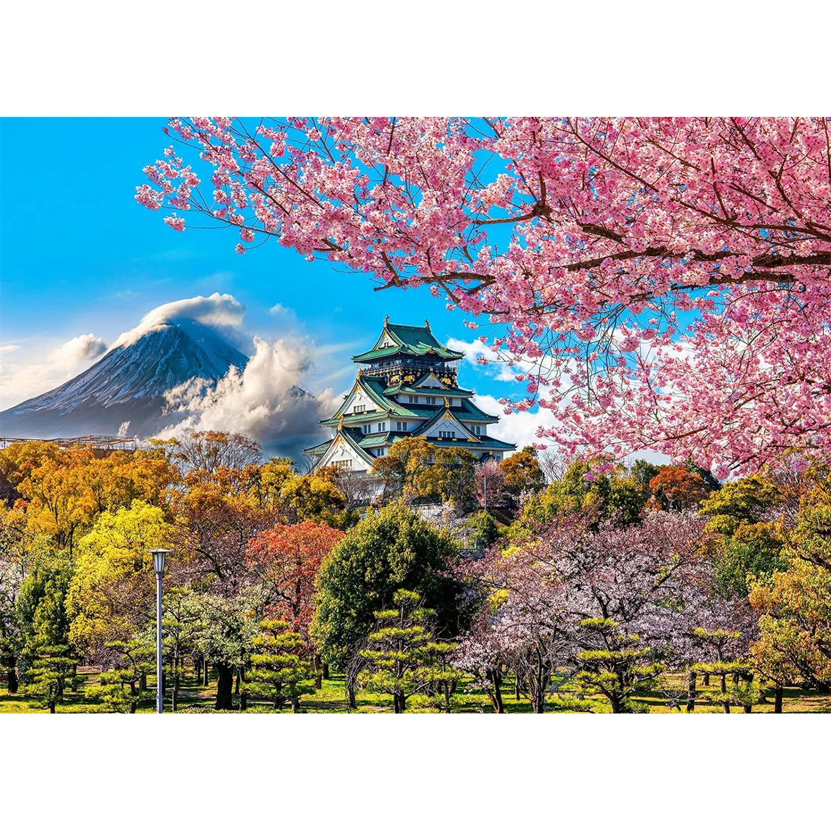 1000 Piece Puzzles for Adults Cherry Blossoms in Osaka Castle, Japan Jigsaw Puzzles Educational Games Colorful Puzzles