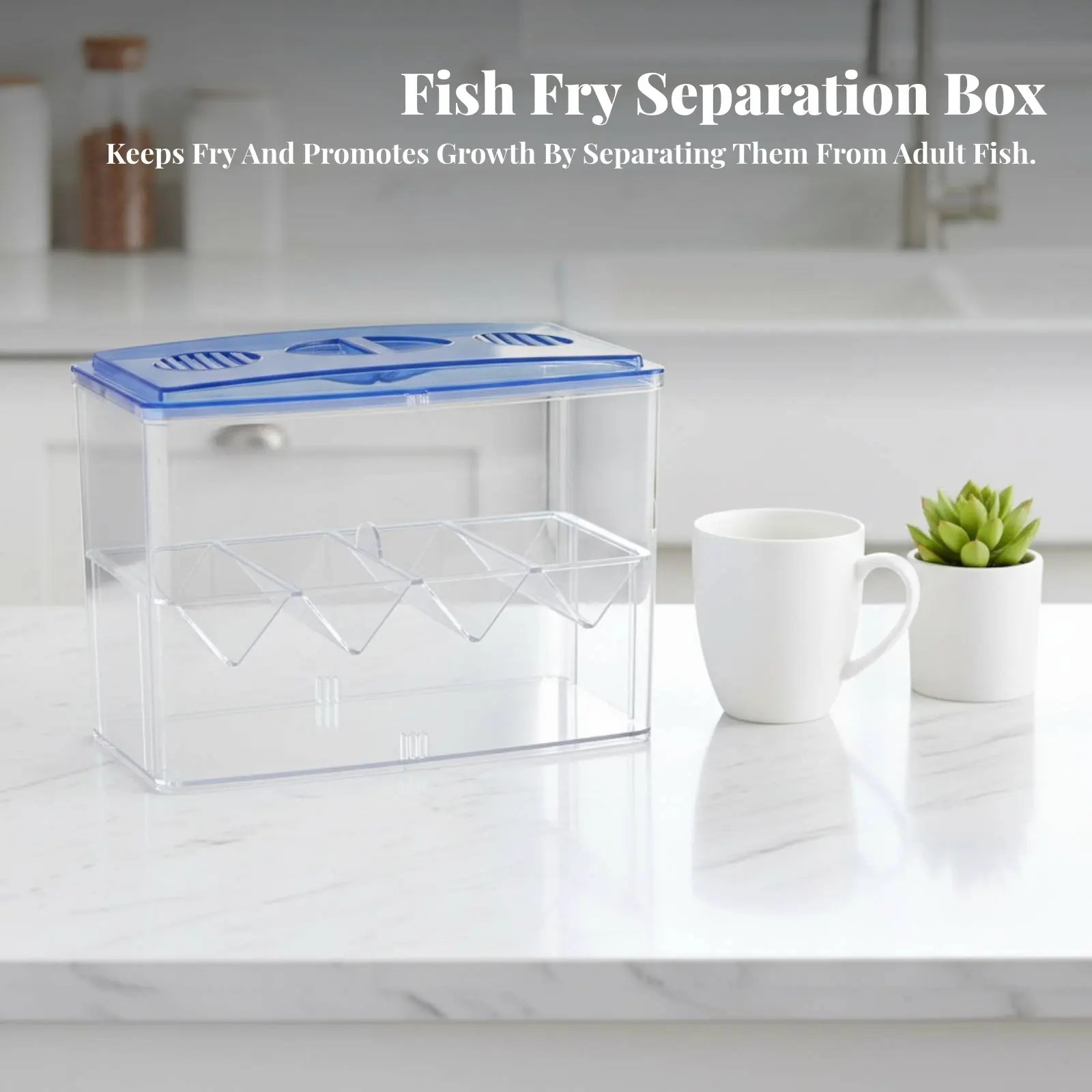 

Acrylic Aquatic Creature Breeding Box Double Level Design Aquatic Creature Breeding Box Aquatic Habitat Breeder Container
