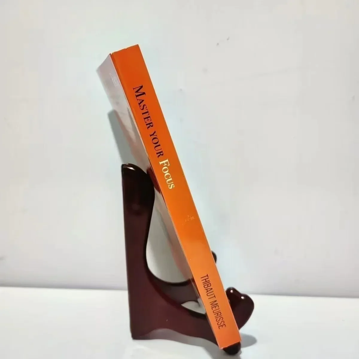 Master Your Focus By Thibaut Meurisse Inspirational Literature Works To Control Emotions Novel Book