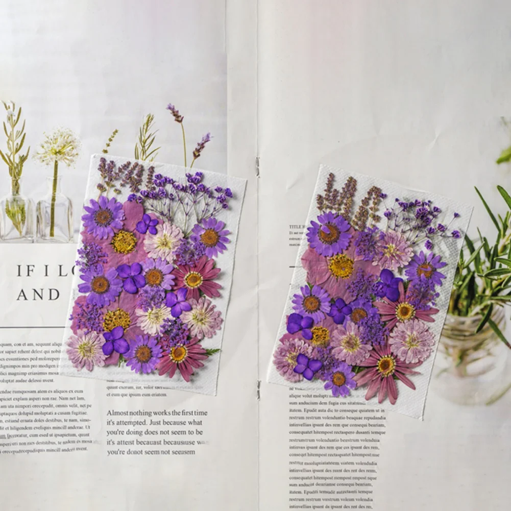 35pcs Dried Flower Diy Pressed Flower Specimens Dried Flower Art Decoration Diy Home Decoration