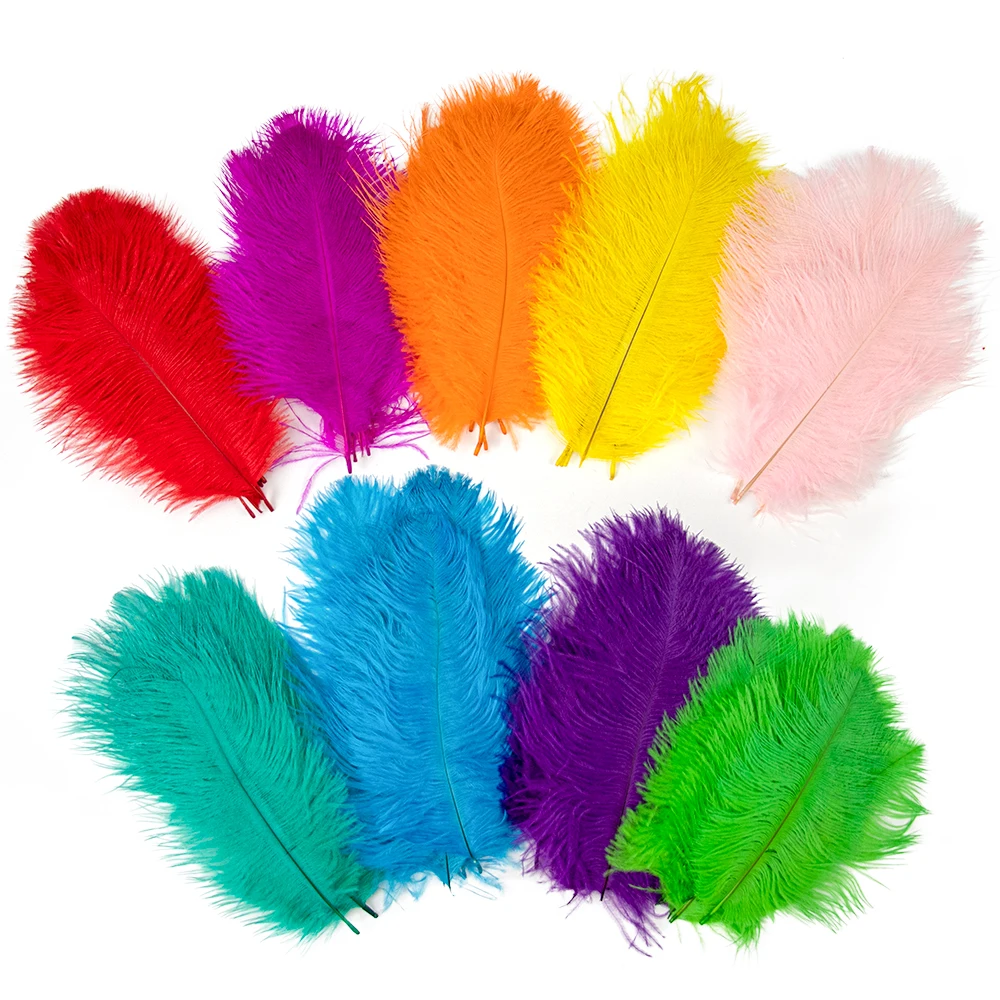 10 PCS Natural Ostrich feathers Table Centerpiece Decoration pluma Dyed Colorful Carnival Stage Dress Sewing Accessory 15-35 CM