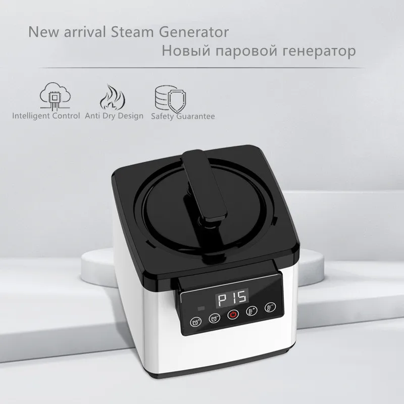 Steam Generator Power Steamer 2023 New Style 2.5L 1000W EU US AU Plug Home Barrel Sauna SPA Therapy for Bath