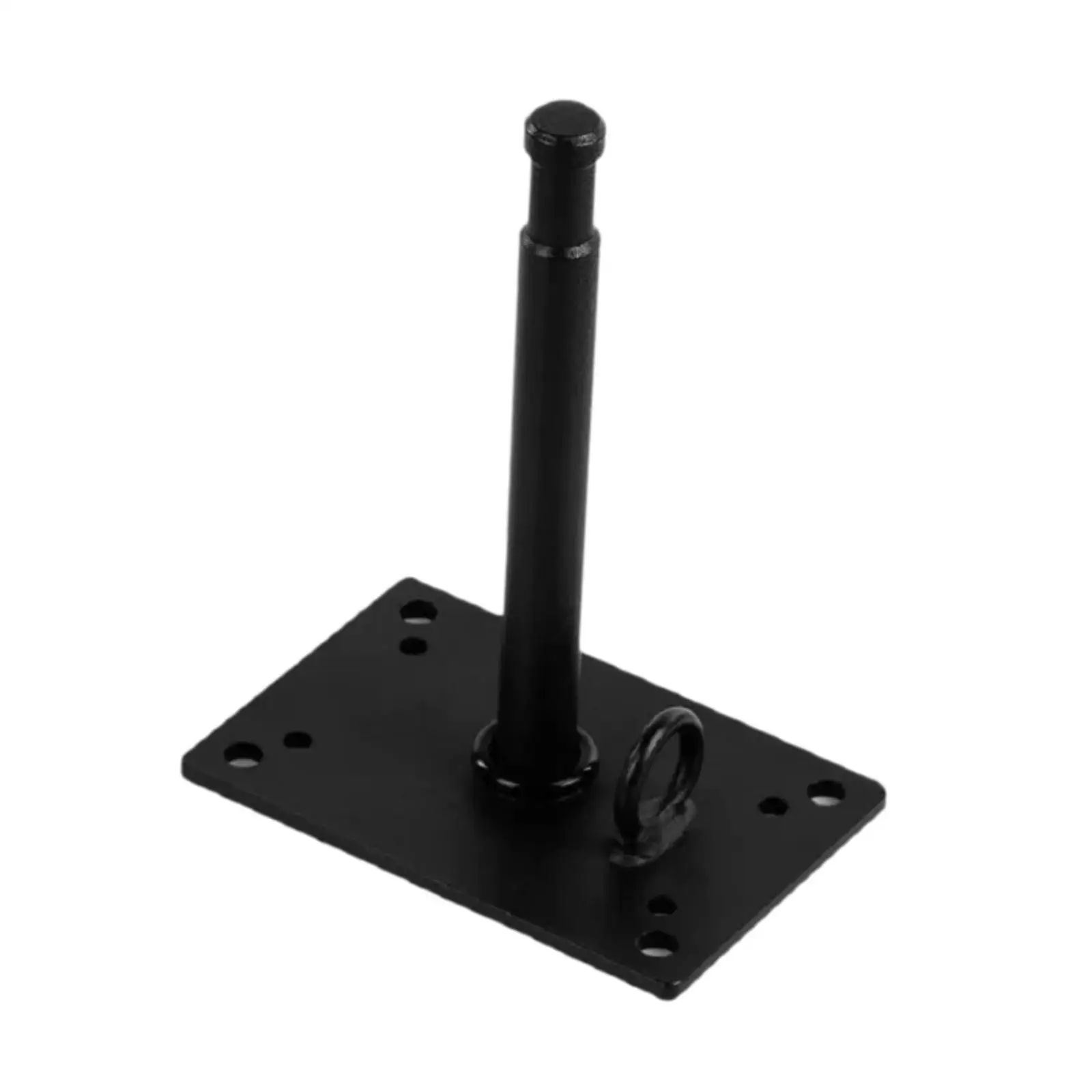 Pin Wall Mount Plate with 5/8