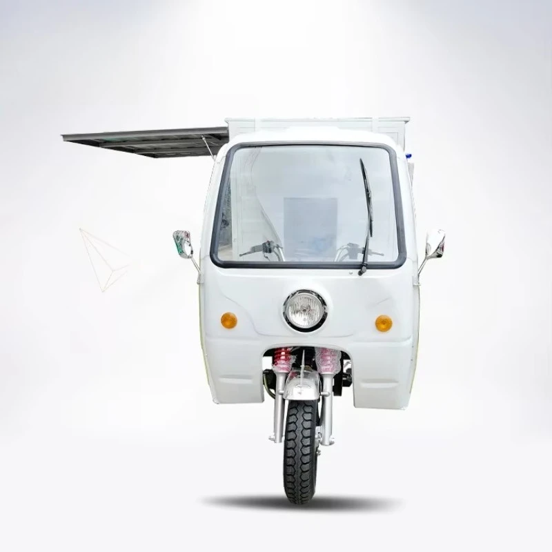 Three Wheel Motorcycle Cargo Tricycle with Fat Tyre 200cc Automatic Transmission for Off-Road and Urban Use