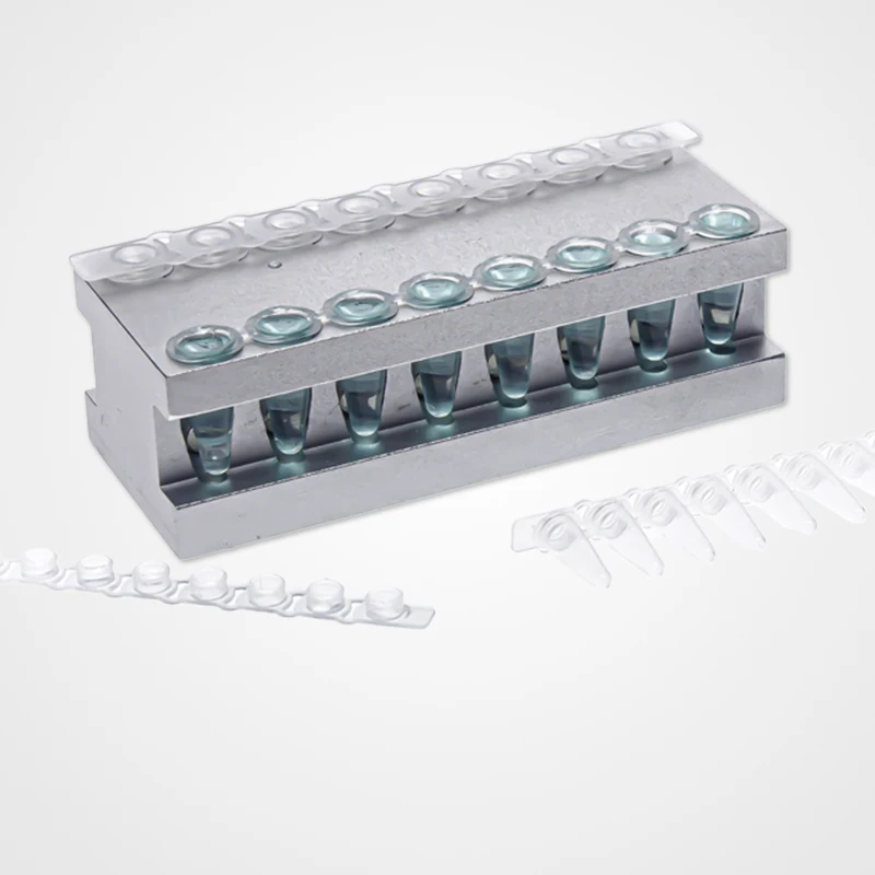 Magnetisches Laborregal für DNA/RNA-Extraktion, Magnetisches Regal für DNA-Purifikation für 0,2 ml/200 µl 8-Strips-PCR-Röhrchen, 16 Löcher – Detail 1