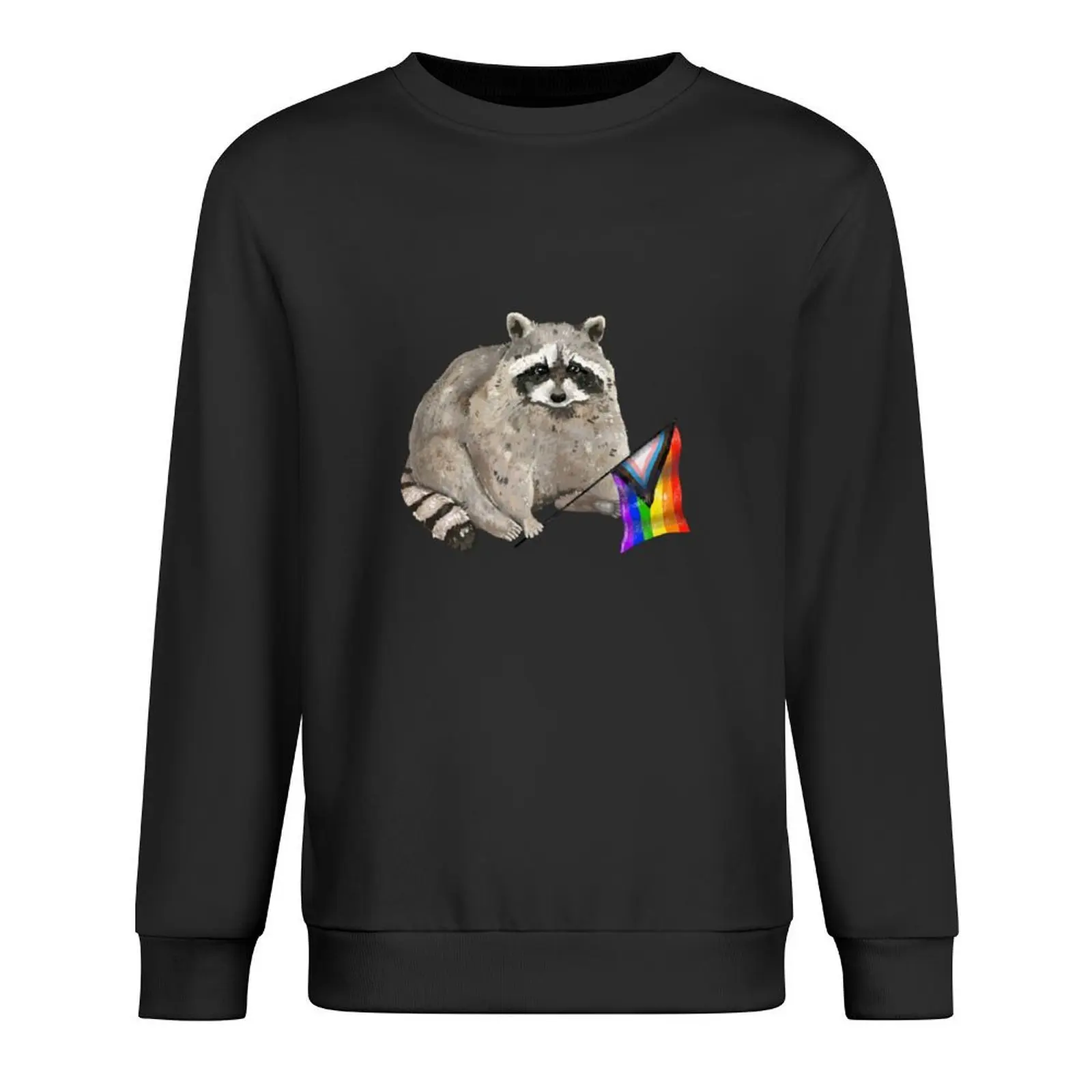

LGBTQ+ Pride Raccoon Pullover mens clothing men's autumn clothes korean style clothes mens clothes hoody