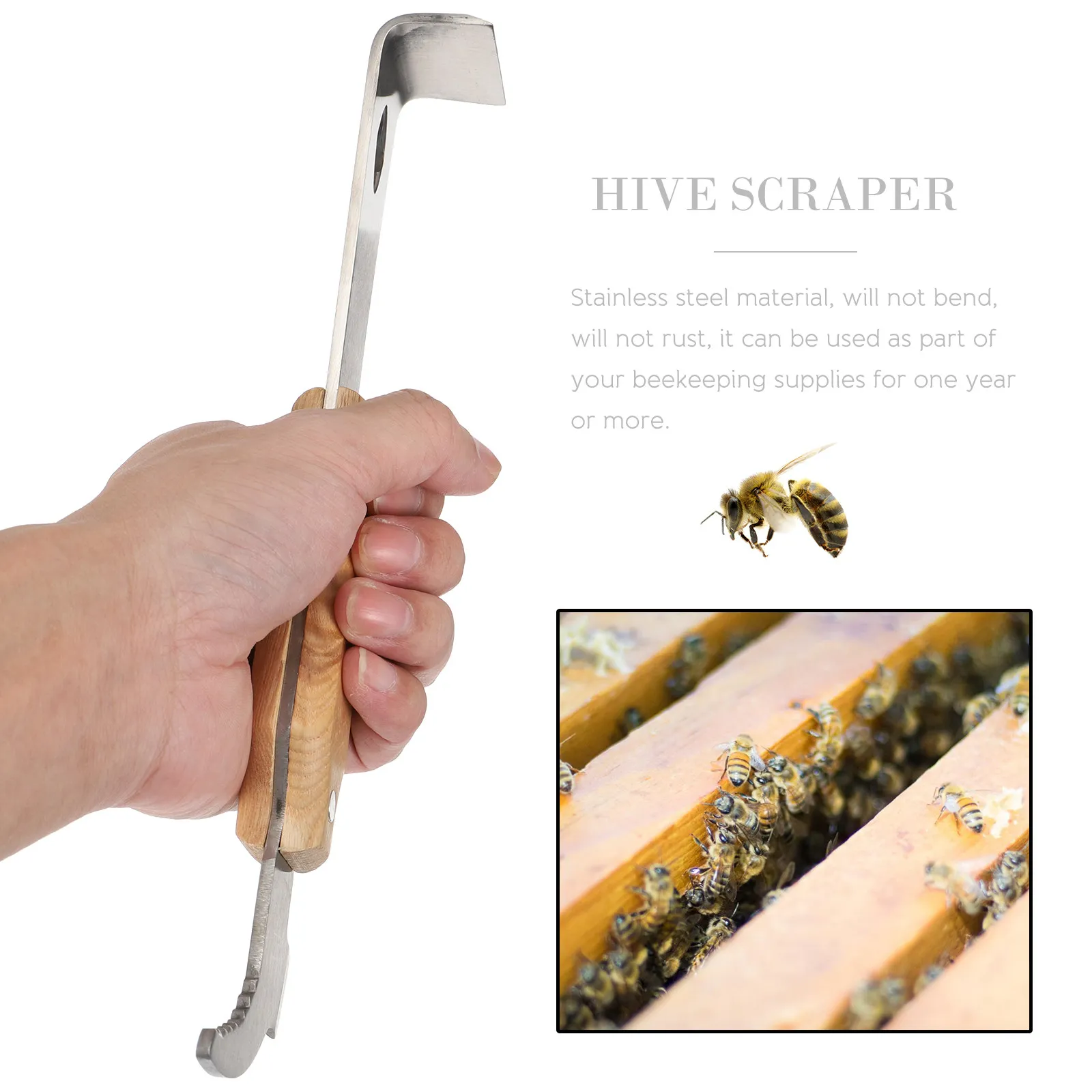 Stainless Steel Hive Scraper Beekeeping Frame Cleaning Tool Efficient Wax Propolis Scraping for Beehive Maintenance