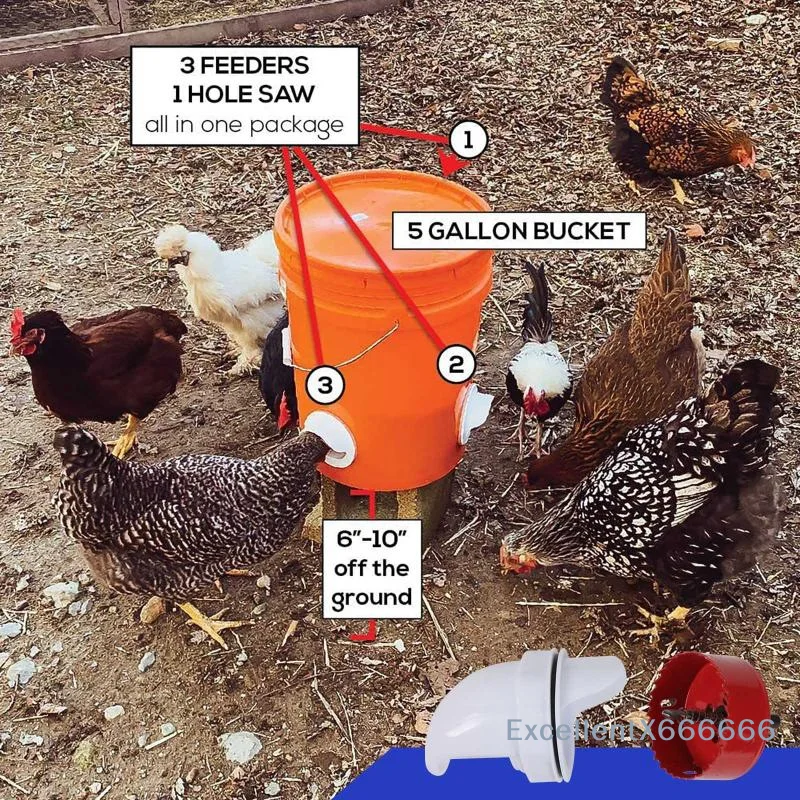 Gravity Poultry Feeder 1/2PCS Easy Install Rainproof Spill Reducing Chicken Feeder for Backyard Farm Coop