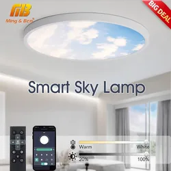 0.9inch Ultrathin Smart Lights APP/Remote Control 40cm Sky/Moon Ceiling Lamps 24/42W Dimmable Lighting for Home Room Decoration