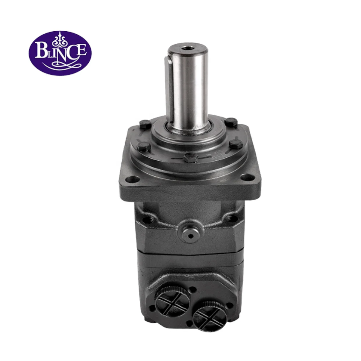 

OMV315cc Hydraulic Orbital Motor OMV 151B 3101 Hydraulic Motor Replacement For Auger Drilling Machine