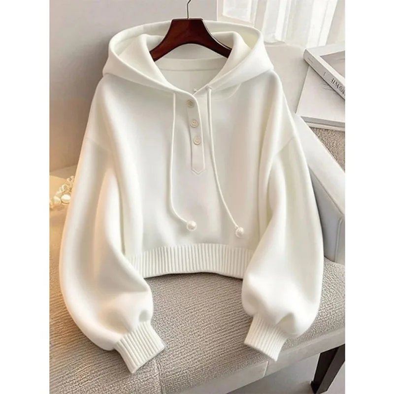 2026 خريف/شتاء جديد وصول المرأة هوديي جودة عالية الصلبة مقنعين البلوز الفاخرة المنزل في الهواء الطلق بلوزة عصرية غير رسمية #3