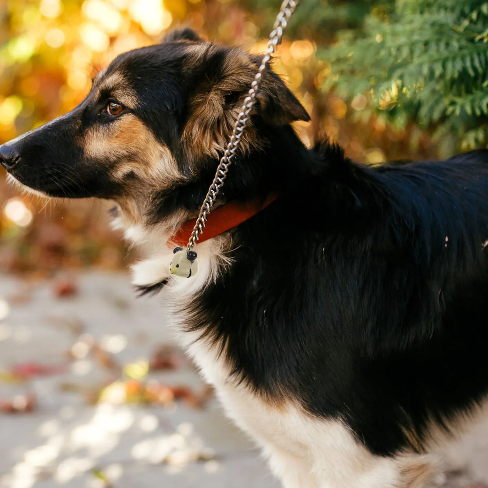 

10Pcs Pet Accessories Bell Dog Collar Charm Cat Puppy Jewelry Decorative Hanging Bells for Crafts Christmas DIY Small Metal