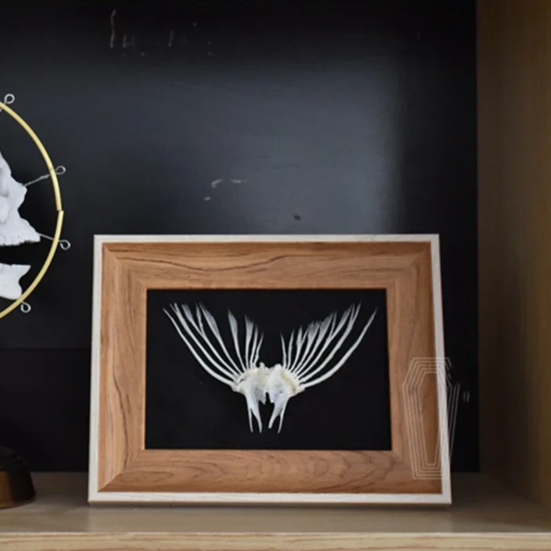 2006 Framed Fish Tail Bone Art Marine Biology Display Oceanic Resin Skeletal Sculpture Victorian Cabinet Curio Anatomy Decor