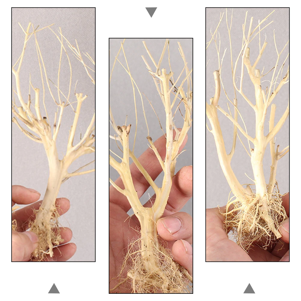 

2pcs Moss Tree Decor Natural Wood Aquarium Ornament Resin Branch For Fish Tank Landscaping Decoration Small Branch Decor