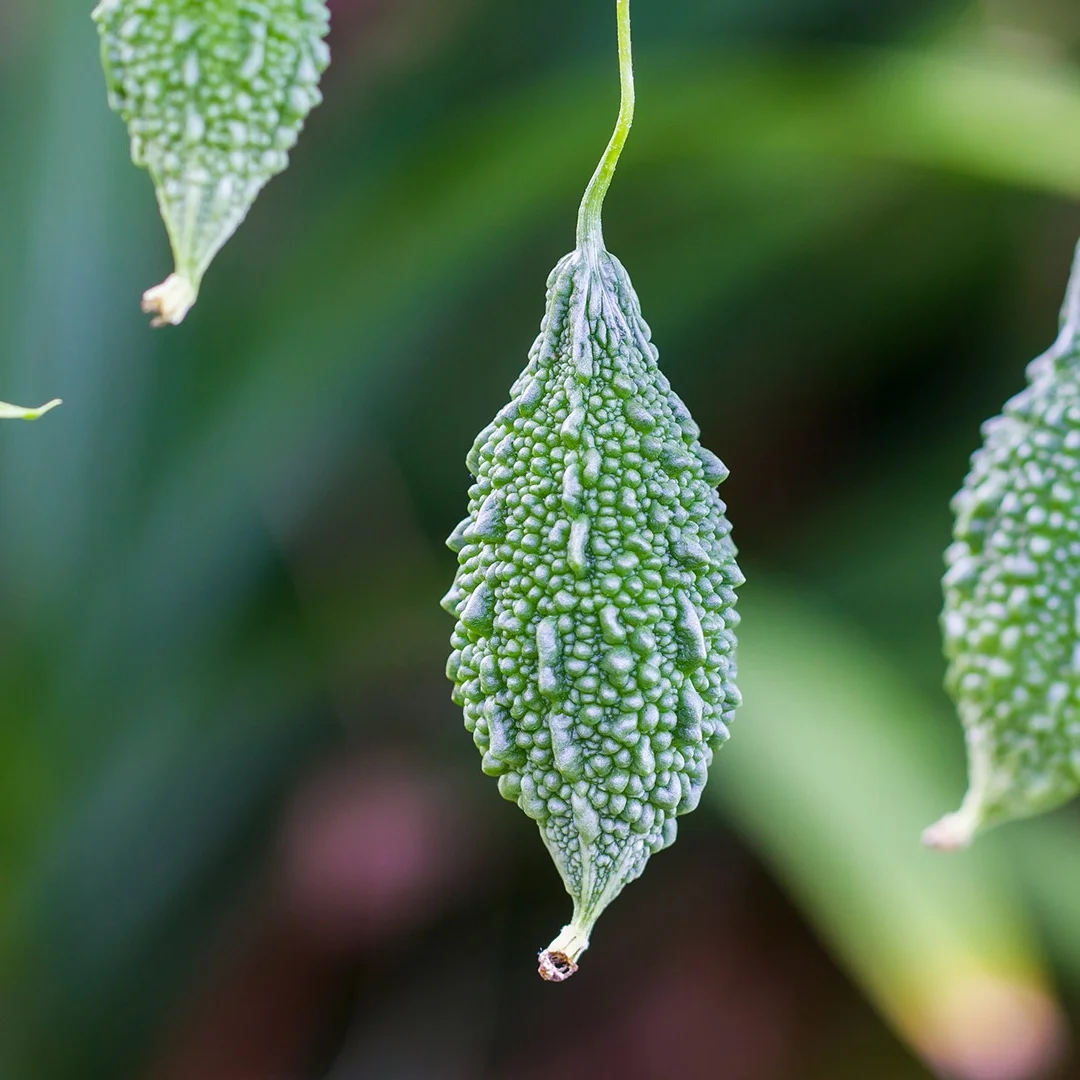 Jy 13.3Inches Andro… - image