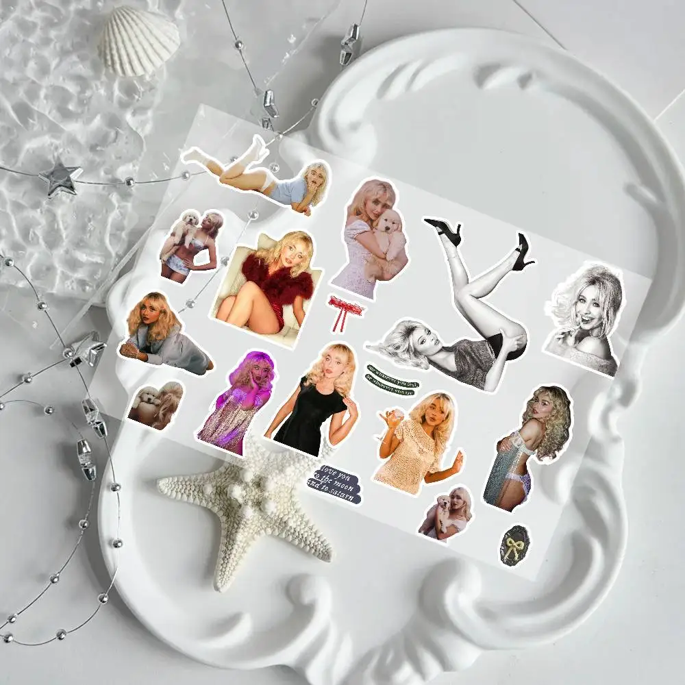 ملصقات نجار المغني الموسيقي سابرينا لجرافيتي سكيت الكمبيوتر المحمول زجاجة ماء لعبة دراجة نارية للأطفال ملحقات الديكور #2